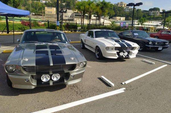 mustang